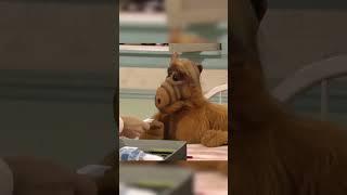 ALF messes up the card trick