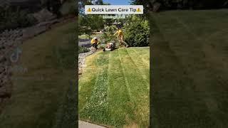 Lawn Care Mowing Tip (adding stripes) #shorts