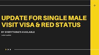 SINGLE MALE DUBAI VISIT VISA FOR PAKISTANI || Visa Status Red to Green || ICA Approval UAE || URDU||