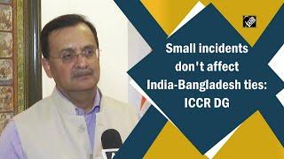 Small incidents don't affect India-Bangladesh ties: ICCR DG