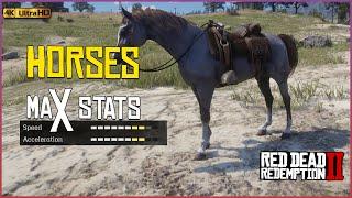 How To Get The Highest Stats Horses IN Red Dead Redemption 2