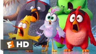 The Angry Birds Movie 2 (2019) - Lava Ball Eruption Scene (9/10) | Movieclips