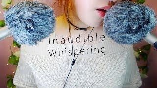 ASMR Soft Inaudible Whispering  & Windscreen Cutting