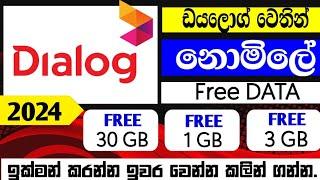 Dialog Free Data | 2024 | Sri Lanka #dialog #freedata #new