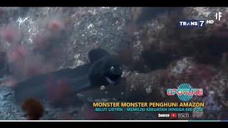 MONSTER MONSTER PENGHUNI AMAZON, SPOTLITE TRANS 7