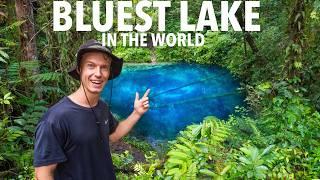 3 DAY HIKE to the WORLD'S BLUEST LAKE - Sumarta, Indonesia 