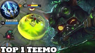 Wild Rift Top 1 Teemo Best Teemo player Gameplay Rank Master