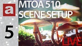 LIVE: Scene setup for MtoA 510