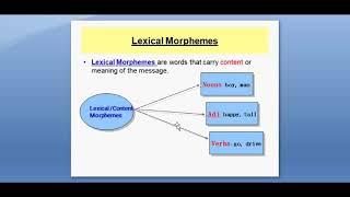 Lesson 4 : Lexical Morphemes and Functional ( Grammatical) Morphemes