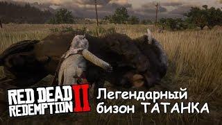 Легендарный бизон ТАТАНКА в Red Dead Redemption 2. Амулет с рогом бизона