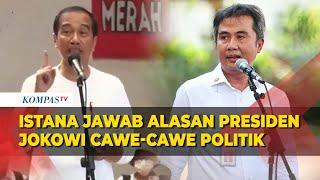 Presiden Jokowi Cawe-cawe Politik Jelang Pemilu 2024, Ini Kata Istana