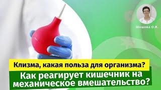 Клизма, какая польза для организма? Как реагирует кишечник на механическое вмешательство?