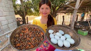 Sreyda cook eggs children with clams red peppers recipes delicious and eat - Amazing Cooking