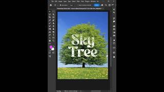 Photoshop Trick 2024 - How to Blending Text to Tree Background #ducthangds #photoshoptoturial