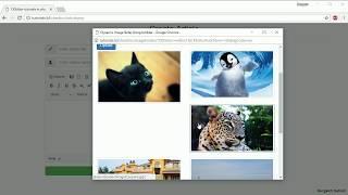 Image file browser from server for ckedior in php and mysql part6