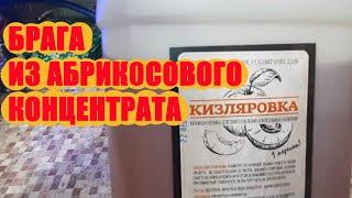 Кизляровка брага из абрикосового концентрата