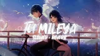 Tu Mileya [Slowed+ Reverb] - Darshan Raval | Music lovers | Swag Lofi