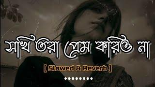 সখি তোরা প্রেম করিওনা  Slowed  Reverb  Sokhi Tora Prem Korio Na  Aditi Chakraborty  Folk Song