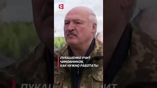 Лукашенко: От этого можно умереть! Разбестились кадры дальше некуда! (Архив) #shorts #лукашенко