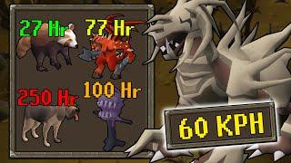 The Underground World of Oldschool Runescape Pet Hunters! [OSRS]