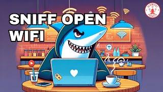 Hacking WiFi: Sniffing Traffic from Open Networks