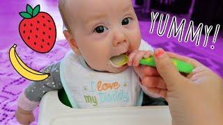 STARTING SOLIDS! (4 Months Old)