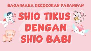 Bagaimana Kecocokan Pasangan Shio Tikus dengan Shio Babi?