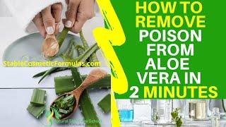 HOW TO REMOVE ALOIN POISON ️ FROM ALOE VERA (Remove This Bitter SAP For Your Own Safety)