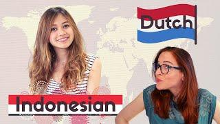 SIMILARITIES between DUTCH and INDONESIAN // With @Naila Farhana