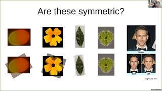 Adriana Dawes: Quantification of approximate symmetries in evolution and development