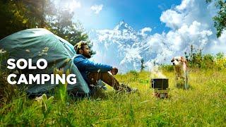 Solo Camping in Forest - Himachal Pradesh | Relaxing in Nature | Hiking and Camping in India