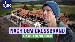 Landwirt Daniel Wehmeyer kämpft um seine Existenz | NDR auf'm Land mit Daniel | Folge 1