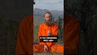 Духовность — это говорить жизни «да»