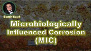 ANSI/API RP 571 Microbiologically Influenced Corrosion ( MIC )