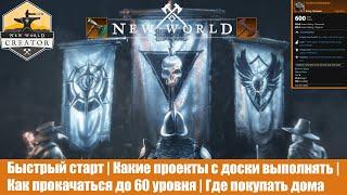 NEW WORLD | Быстрый старт | Какие квесты с доски выполнять | Как поднять 60 | Где покупать дома