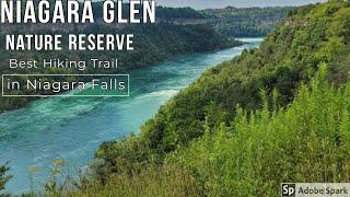 Niagara Glen Nature Reserve, Niagara Falls, Ontario, Canada|BEST HIKING TRAIL IN ONTARIO