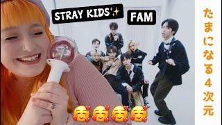 OUR PERFECT FAMILY! STRAY KIDS 'FAM' LYRIC MUSIC VIDEO REACTION