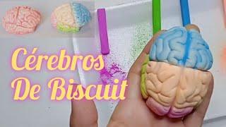 Como Fazer Cérebro Humano de Biscuit (Com destaques para estudos)