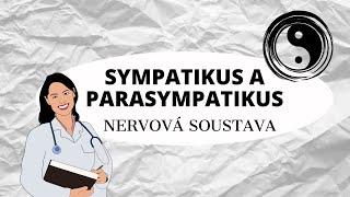 NERVOVÁ SOUSTAVA - Sympatikus a parasympatikus