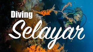 Diving Selayar - Amazing dive spot in Sulawesi