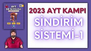 Sindirim Sistemi-1 AYT Biyoloji Kampı Konu Anlatımı/ 11.Sınıf 2024 Tayfa