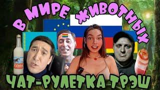 АДСКАЯ чат-РУЛЕТКА! Кахаз любит Кумыс! Украинец из Европы! СМЕШНО до СЛЕЗ