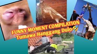 FUNNY MOMENT COMPILATION