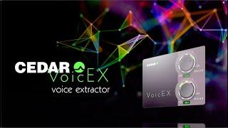 Introducing the CEDAR VoicEX voice extractor