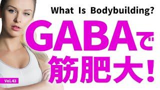 【Vol.43】GABAが筋肥大を劇的に加速する！高齢者のサルコペニア（加齢性筋肉減弱現象）対策にも効果的！