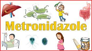 Metronidazole(Flagyl) - Mechanism Of Action, Indications, Adverse Effects & Contraindications