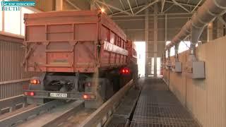 Россия наращивает экспорт зерна