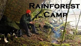 Rainforest Basecamp