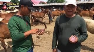 Pasar Kuda Tolo Kelara Jeneponto