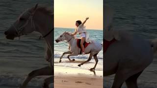 Beach ride Dubai #horsebackriding #dubailife #horse #horselover #dubai #beach #horseride